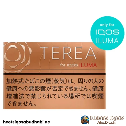 TEREA Warm Regular Japan